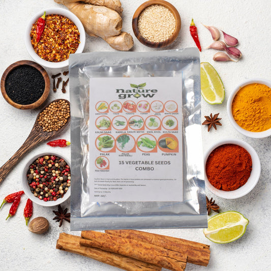 15 Varieties Of Vegetable Seeds Combo (1 Pkt.  15 Varieties) - JanakiShop.in
